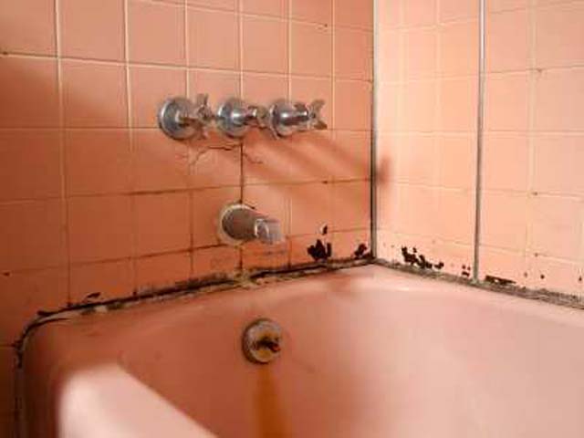  Bathroom Leakage Repair,Bathroom Floor Leaking Water,Bathroom Leakage Treatment,Bathroom Leakage Solution