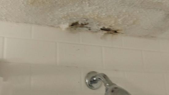 Bathroom Water Leakage