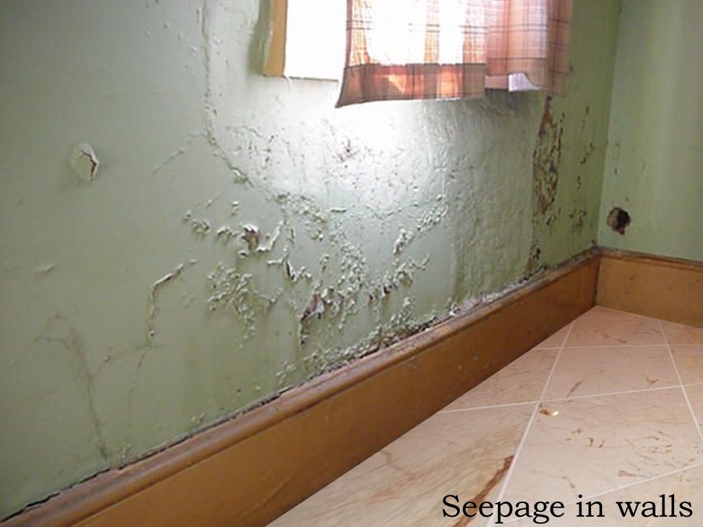seepage-in-wall-1